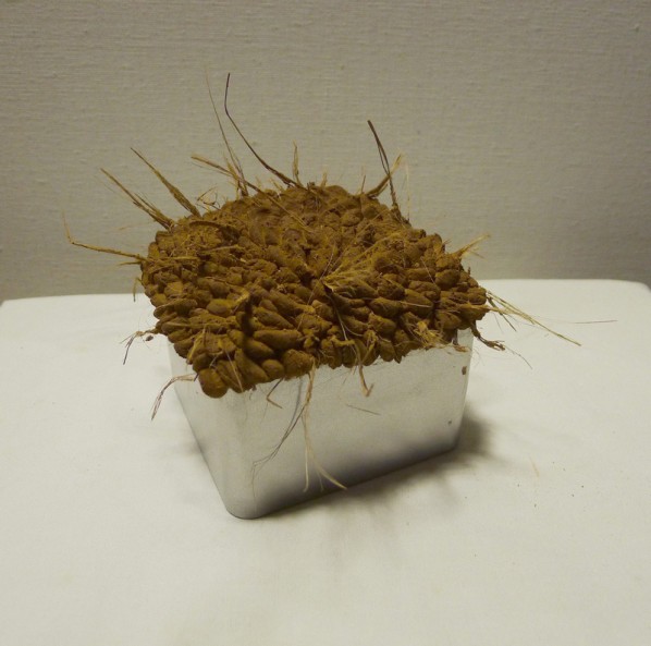 03 Yan Bing-Gift; soil and tin, 11x11x9cm