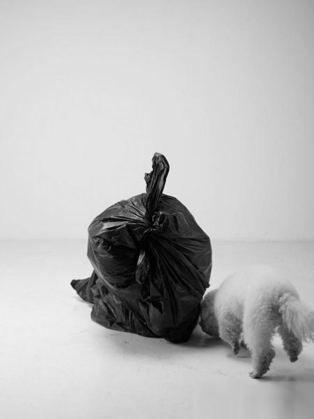 Li Wei, A Bag of Trash, behavior photography; Photo-Zou Sehngwu, 170×100cm 2012