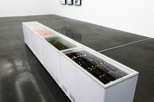 To S, freezer, cucumber, eggplant, carrot, white yam; 458x 55.5x 83cm, 2012