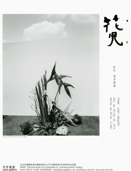 Flowers: Araki Nobuyoshi Solo Exhibition at Aura Gallery  01