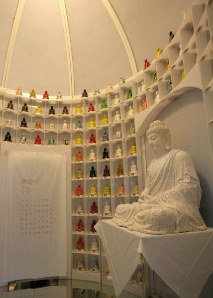 Zhan Wang, Buddhist Medicine (2004 – 2006)