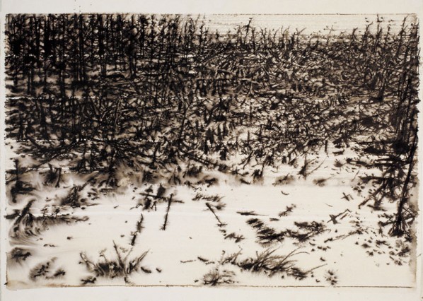 Xu Jiang, Depth of Winter III., 2005; Water color, 58x78x27 cm 