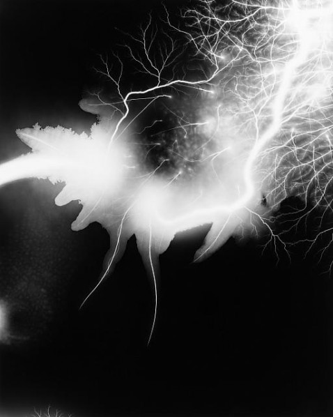 Hiroshi Sugimoto – Lightning Fields 168, 2009 – 545 West 22nd Street