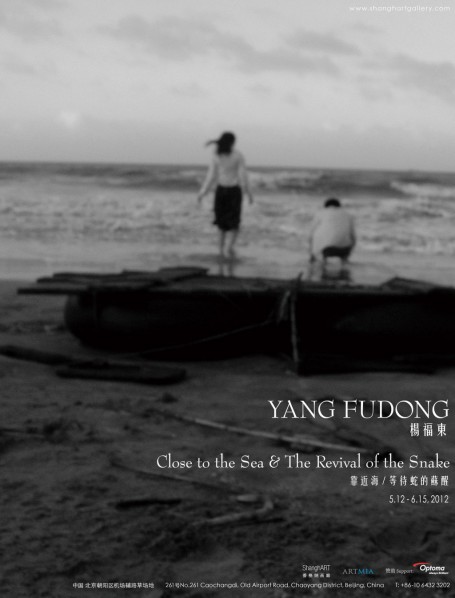 Poster of YANG Fudong