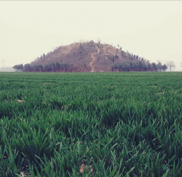 01 KAN XUAN: MILLET MOUNDS