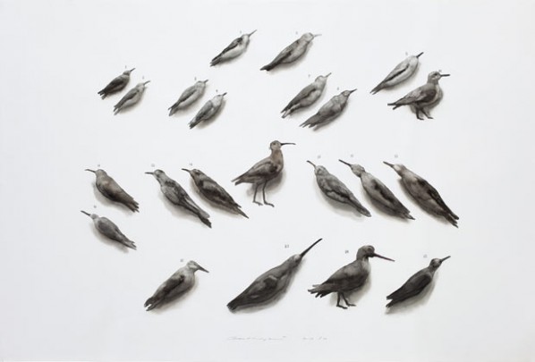 Bird No.1, 2012; watercolor on paper, 100×150cm