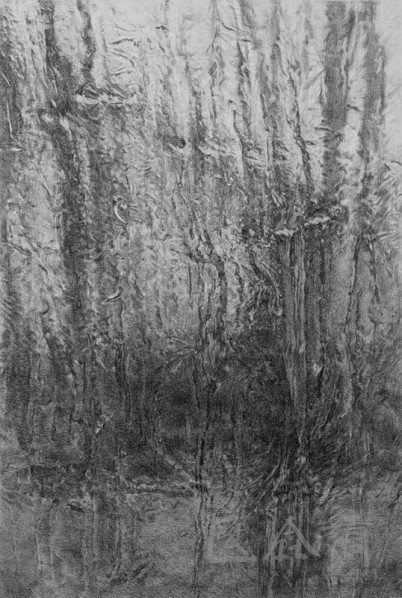 Guo Tianyi-Ice, 2012; Sketch, 100cm×80cm