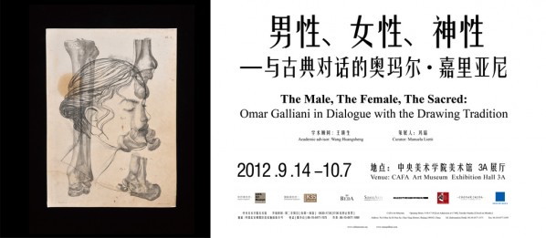 Poster of The Male, The Female, The Sacred Omar Galliani in Dialogue with the Drawing Tradition