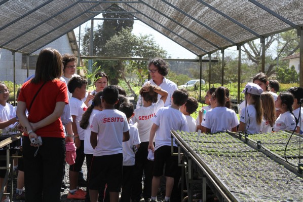 Xu Bing worked with children in Itu to save Brazil's forests 01