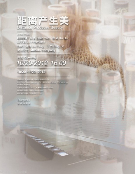 00 Poster of Distance Produces Beauty, A Display Co-curated and Created by GUEST, TOF and MadeIn Company