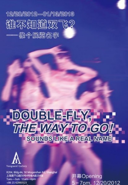 00 Poster of "Double Fly, The Way to Go! - Sounds like a Real Name"