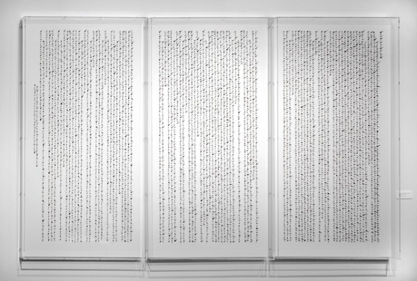 Cui Fei, Manuscript VIII, 2010; Thorns on panels, 57x33in