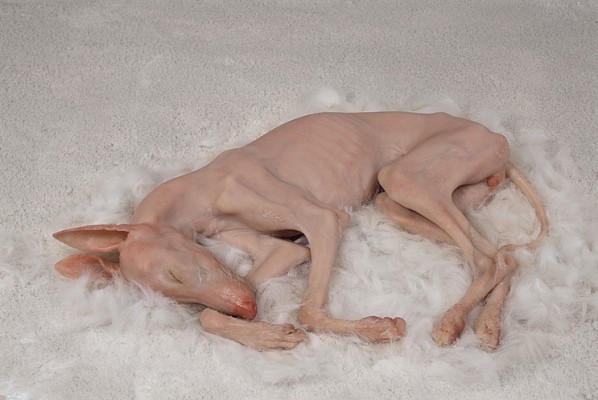 Shen Shaomin, I Sleep on Top of Myself(Dog), 2011; 40x100cm