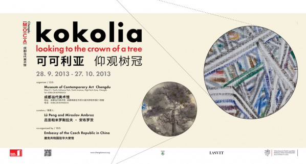 Poster-of-kokolia-looking-to-the-crown-of-a-tree