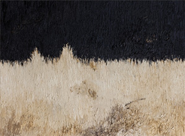 Yan Bing, Cowhide No.14; Oil on Canvas, 60×80cm, 2013