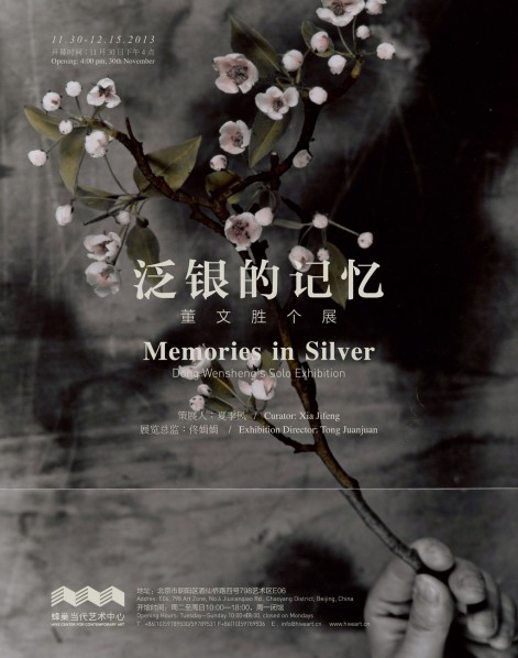 Poster-of-Memories-in-Silver