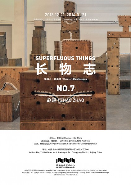 Superfluous Things VII Zhao Zhao