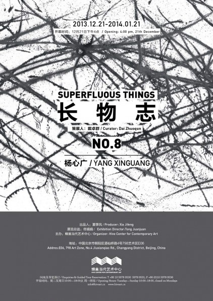 Superfluous Things VIII Yang Xinguang