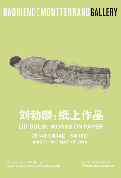 Poster of Liu Bolin Works on Paper