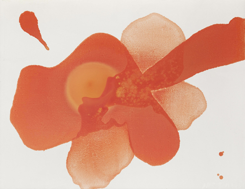 Mao Lizi, Flower Not Flower, 2011