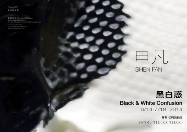 Poster of Shen Fan Solo Exhibition