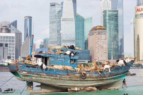 Installation View of Cai Guo-Qiang The Ninth Wave 08