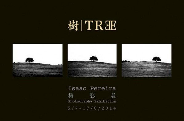 poster of exhibition-tree