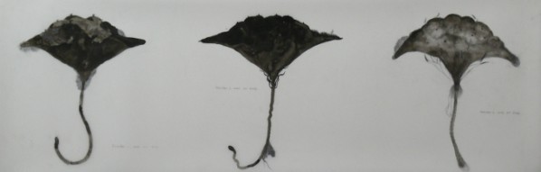 Shen Ruijun, Lotus No.1 Water and ink on paper 91.5x30.5cm 2005