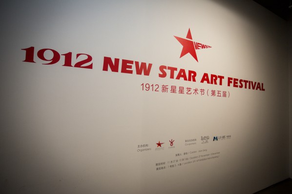 69 Installation view of New Star Festival