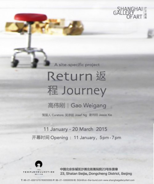 Poster of Return Journey