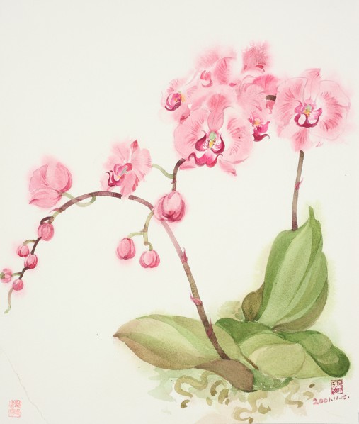  Saone Chang, The Phalaenopsis, directly using color to paint the object without any ink line, 46 x 37 cm, 2001