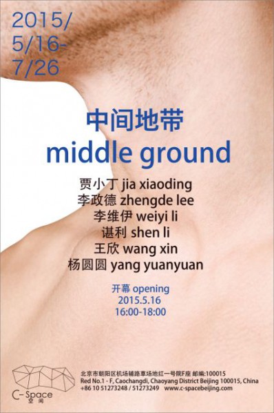 Poster of Middle Ground