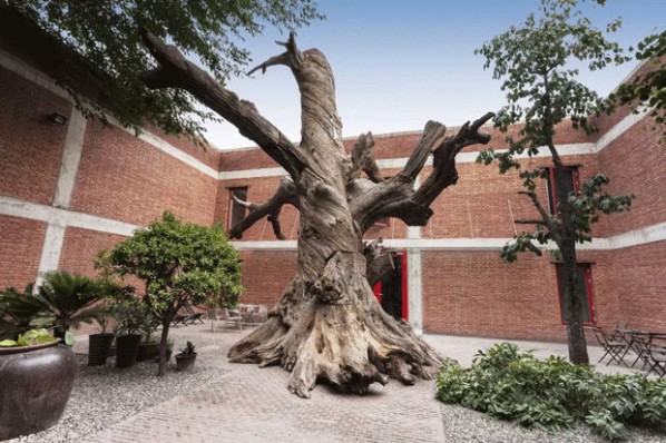 Ai Weiwei, Tree, 2015; Tree Sections, steel, 735x707x690cm