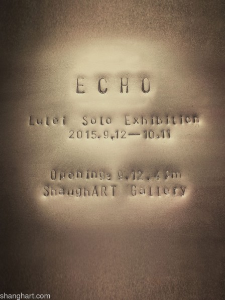 Poster of Lu Lei Solo Exhibition