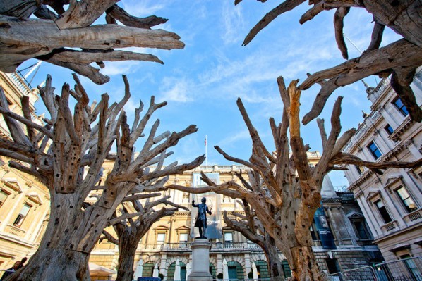 Bring Ai Weiwei's Tree sculptures to London's Royal Academy of Arts, Courtesy www.kickstarter.com