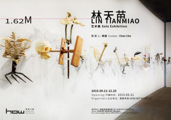 Poster of 1.62M Lin Tianmiao Solo Exhibition