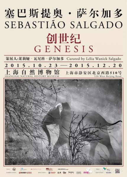 Poster of Genesis