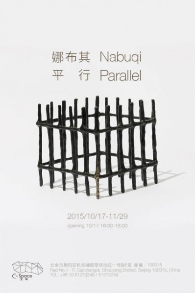 Poster of Na Buqi, Parallel