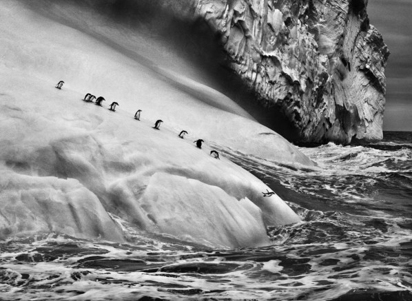 Work by Photographer Sebastião Salgado 02