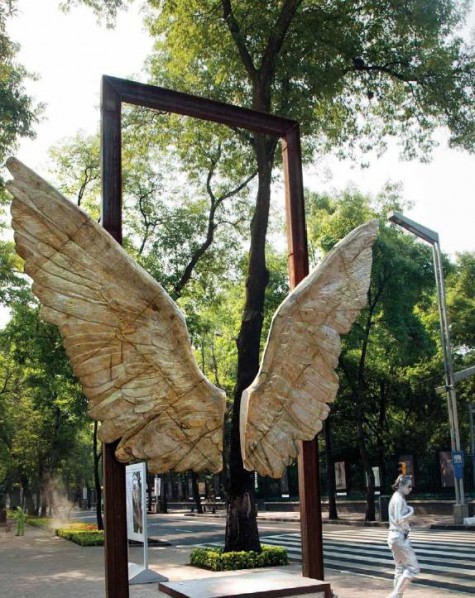 Jorge Marin's Wings of Mexico