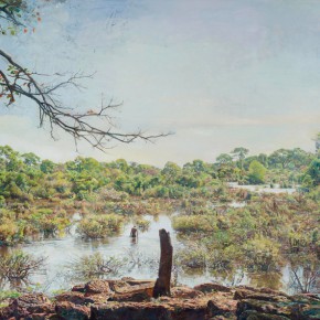 24 Lu Liang, Angkor’s Swamp, 2012