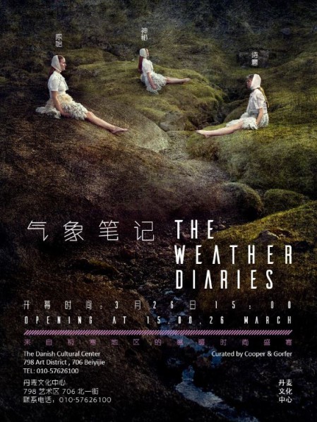 Poster of The Weather Diaries