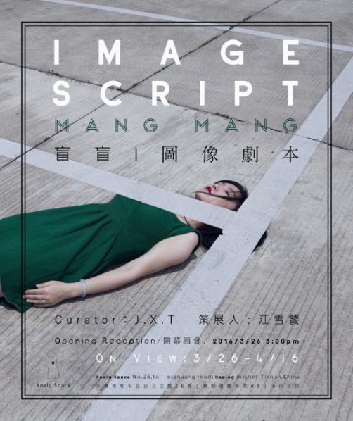 Poster of Image Script