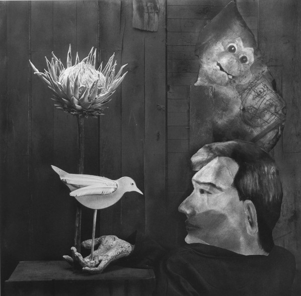 Roger Ballen, Asylum of the Birds-Eye to Eye, 2011; archival pigment print