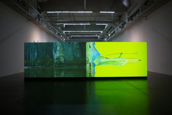 Zhou Xiaohu, Garden of Earthly Delights, 2016, A dual-channel video projection, installation view