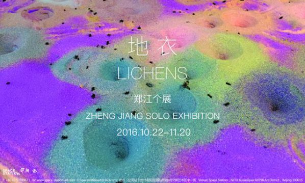 poster-of-lichens-zheng-jiang-solo-exhibition