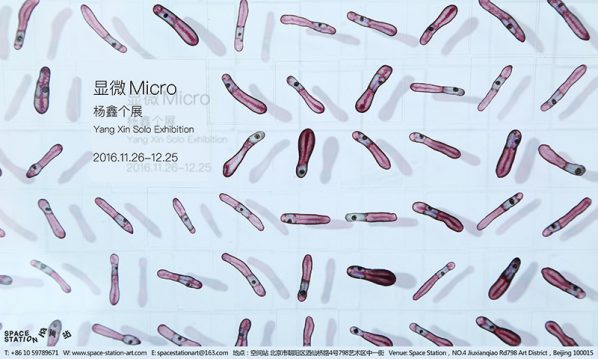 poster-of-micro-yang-xin-solo-exhibition