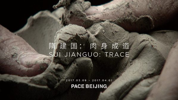 Poster of Sui Jianguo Trace