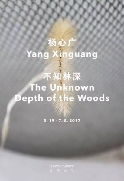 00 Poster of Yang Xinguang The Unknown Depth of the Woods