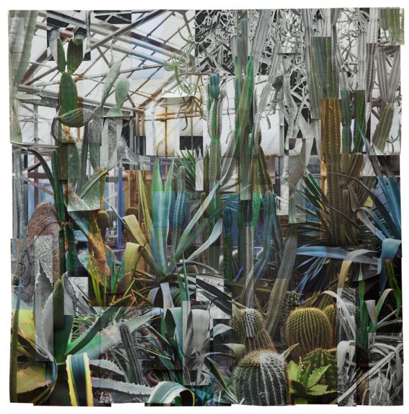 Ji Zhou, Greenhouse 3, Archival, pigment, print, 120x120cm, 2017